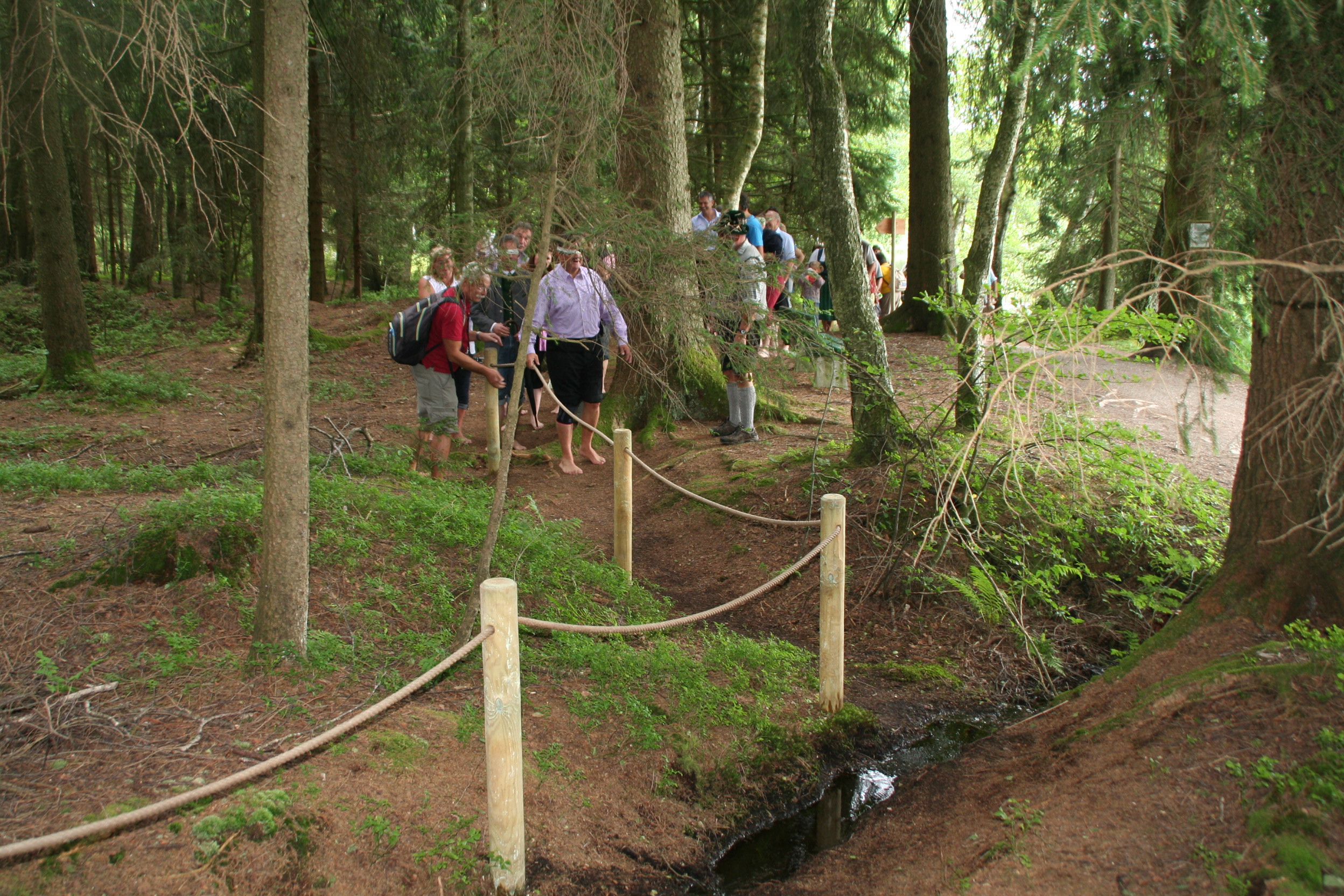 Durch den Wald am 5. Bayerischer Barfußwandertag in Bad Bayersoien